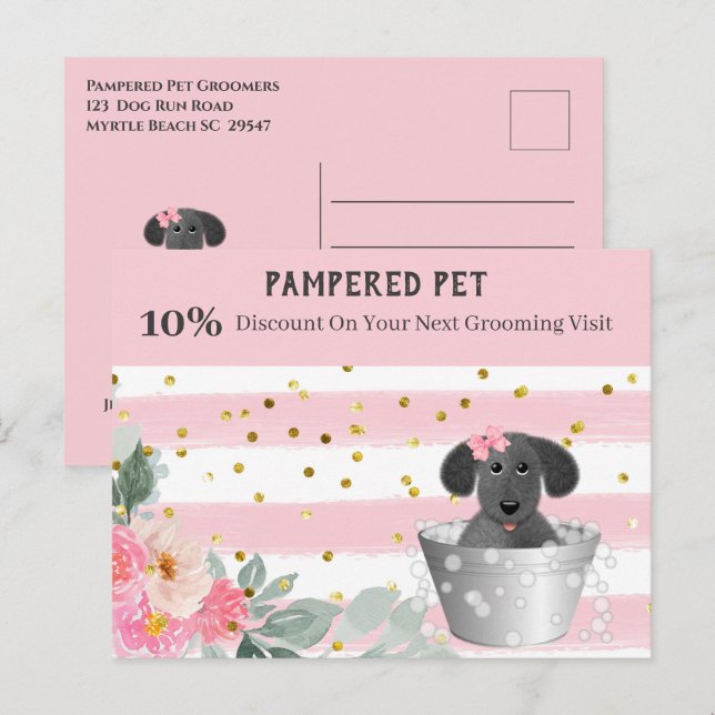 Mascota Groomer Puppy en la tarjeta postal de come (Anverso / Reverso)