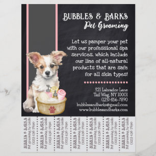 Mascota Groomer Tear Away Flyer