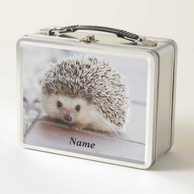 Mascota Hedgehog (Anverso)