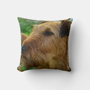 Mascota irlandesa Cojín decorativo perro decoració