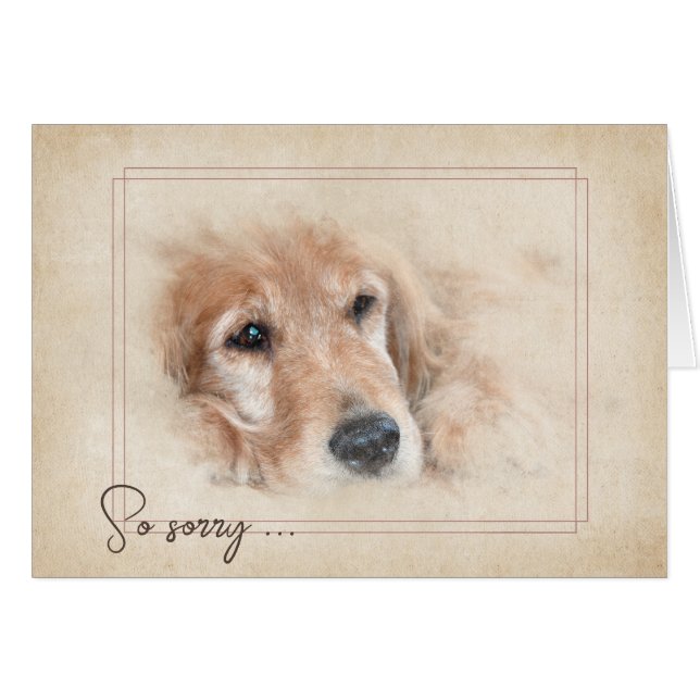 Mascota Loss Sympathy Golden Retriever (Anverso (Horizontal))
