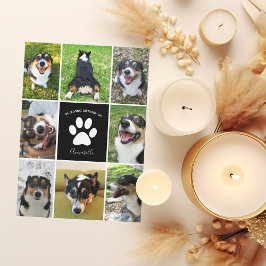Mascota Memorial Dog Photo In Lolove Memory Card