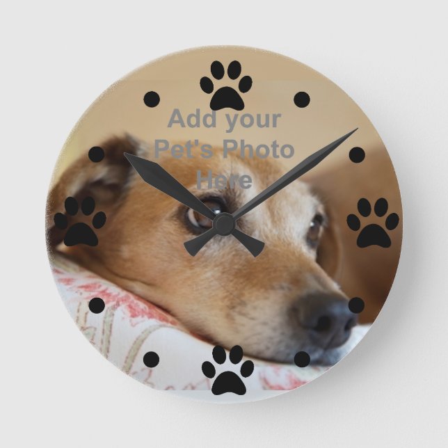 Mascota Paw con su reloj de pared fotográfico masc (Anverso)