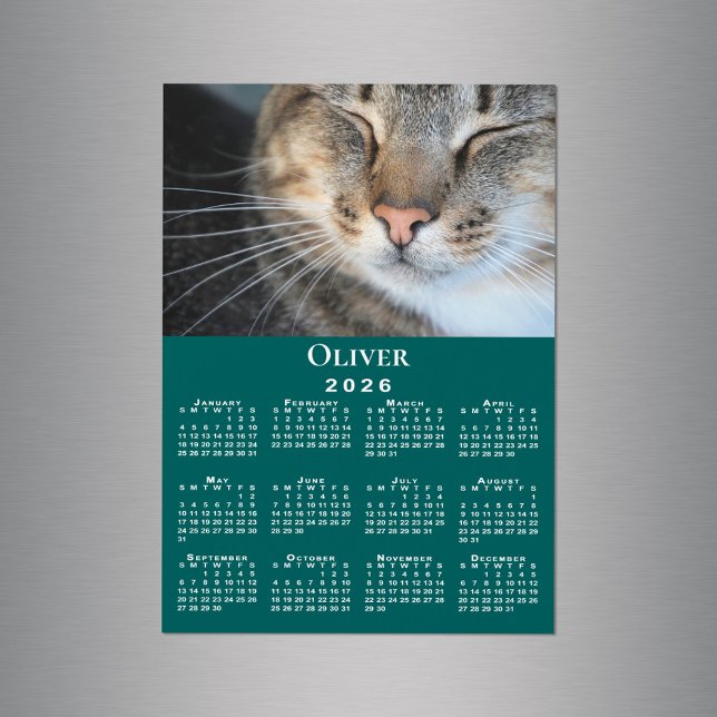Mascota personalizado Nombre de foto 2026 Calendar (Custom Pet Photo Name 2026 Calendar Teal Magnet in situ)