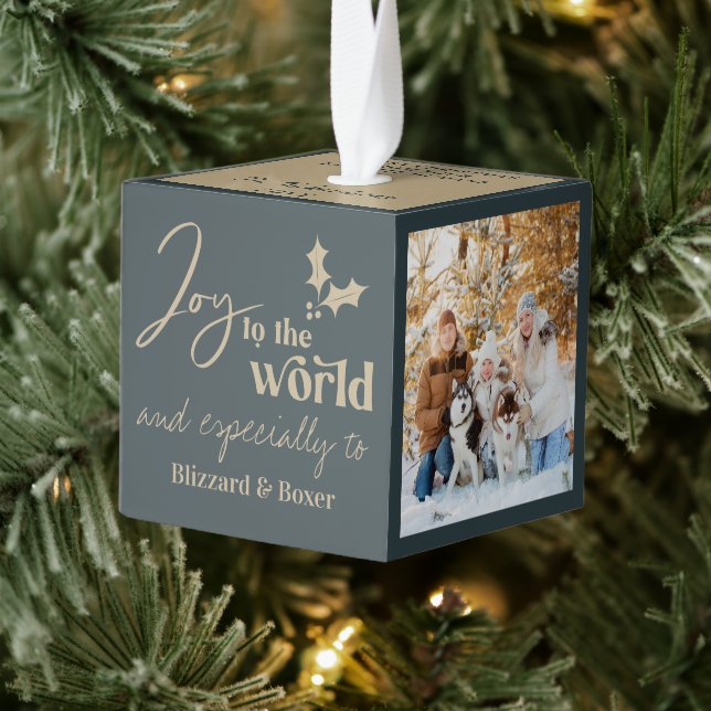 Mascota se júbilo con el ornamento del cubo fotogr (Árbol)