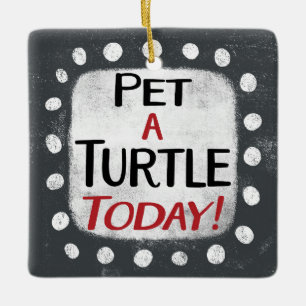 Mascota Una Tortuga Hoy Ornamento