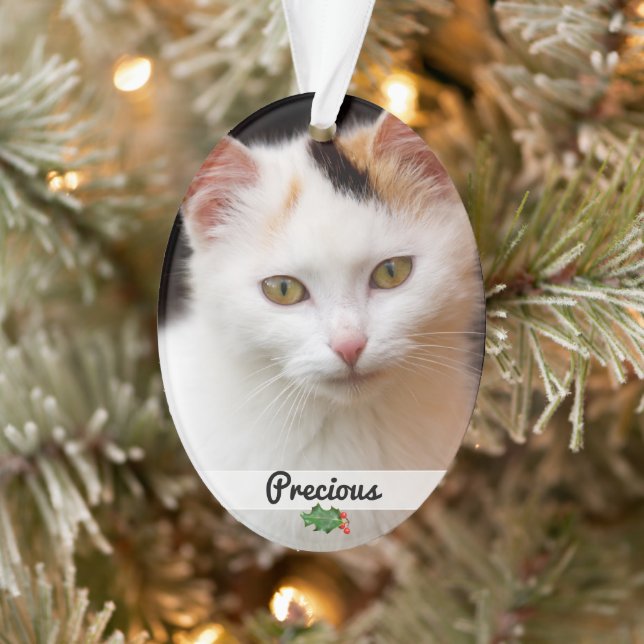 Mascotas de doble cara Nombre de foto Ornamento ac (Árbol)