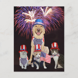Mascotas divertidos 4 de julio Invitación