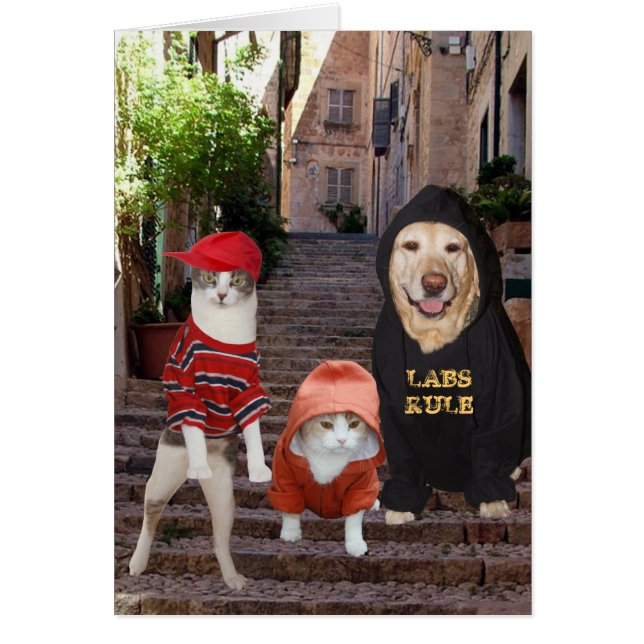 ¿mascotas divertidos Whazup en el barrio? (Frente)