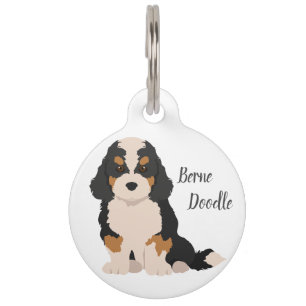 Mascotas Llavero con placa de identificación para mascota m