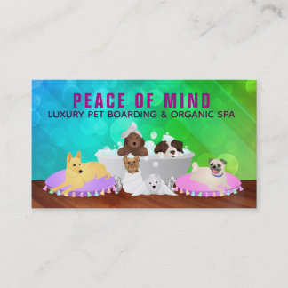 Mascotas mujeres cuidan y venden tarjetas de visit