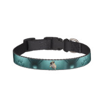 Personaliza tu collar verde para perro con una fot
