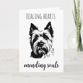 mascotas pierden tarjetas de simpatía con perros