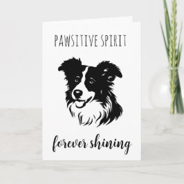 mascotas pierden tarjetas de simpatía con perros