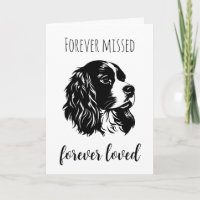 mascotas pierden tarjetas de simpatía con perros