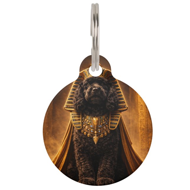 Mascotas Placa de identificación para mascota Cockapoo negr (Anverso)
