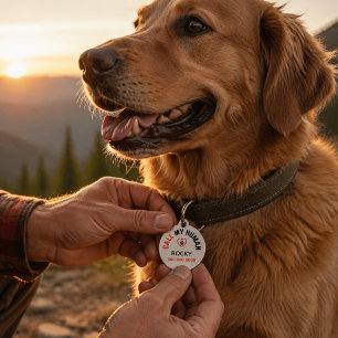 Mascotas Placa de identificación personalizada para mascota