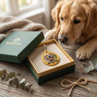 Mascotas Placa de identificación personalizada para mascota