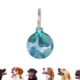 Mascotas Placa de identificación personalizada para mascota