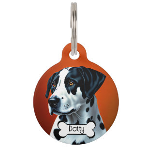 Mascotas Placa de identificación personalizada para mascota