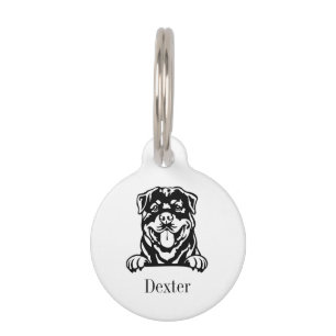 Mascotas placa de identificación personalizada para perro r