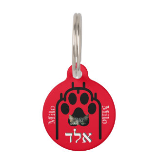 Mascotas Placa para macotas Pequeña, ¨b'li ayin hara¨