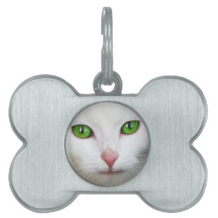 Mascotas Placa para mascota gato blanco de ojos verdes