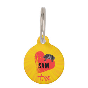 Mascotas Placa para mascotas, Pequeña, ¨b'li ayin hara¨