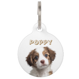 Mascotas Placa Personalizada para Mascota con Foto y Nombre