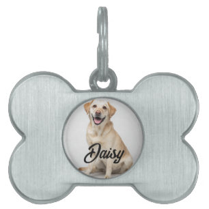 Mascotas Placa Personalizada para Mascota con Foto y Nombre