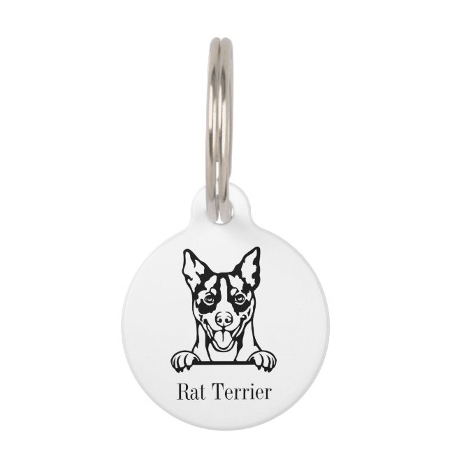 Mascotas Placa personalizada para perro Rat Terrier (Anverso)