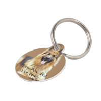 Placa Redonda para Mascota