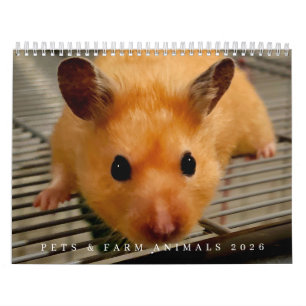 Mascotas y animales de granja calendario 2026