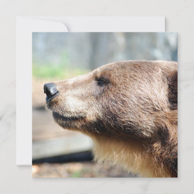 Master Bruin (Anverso)