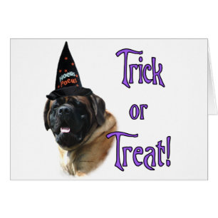 Mastiff (albaricoque) Trick