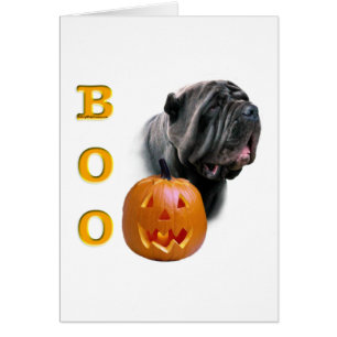 Mastiff Boo napolitano