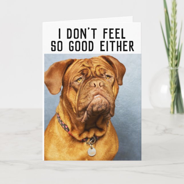 MASTIFF DOG FUNNY OBTENER TARJETAS BIEN (Anverso)