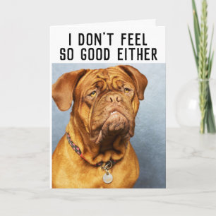 MASTIFF DOG FUNNY OBTENER TARJETAS BIEN