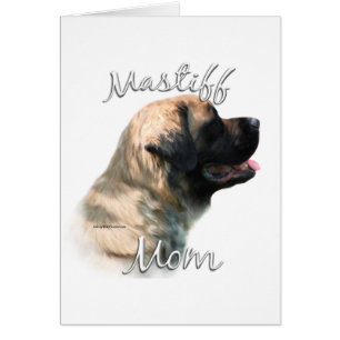 Mastiff (esponjosa) Mamá 2