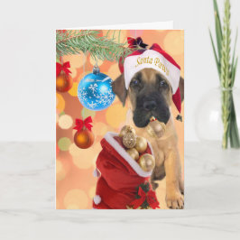 Mastiff Puppy Feliz Navidad