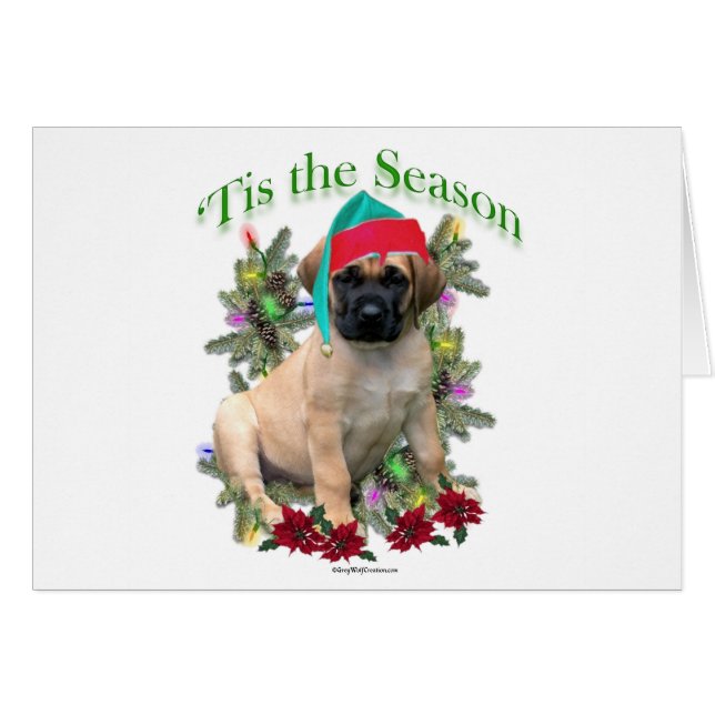 Mastiff ‘Tis (Anverso (Horizontal))