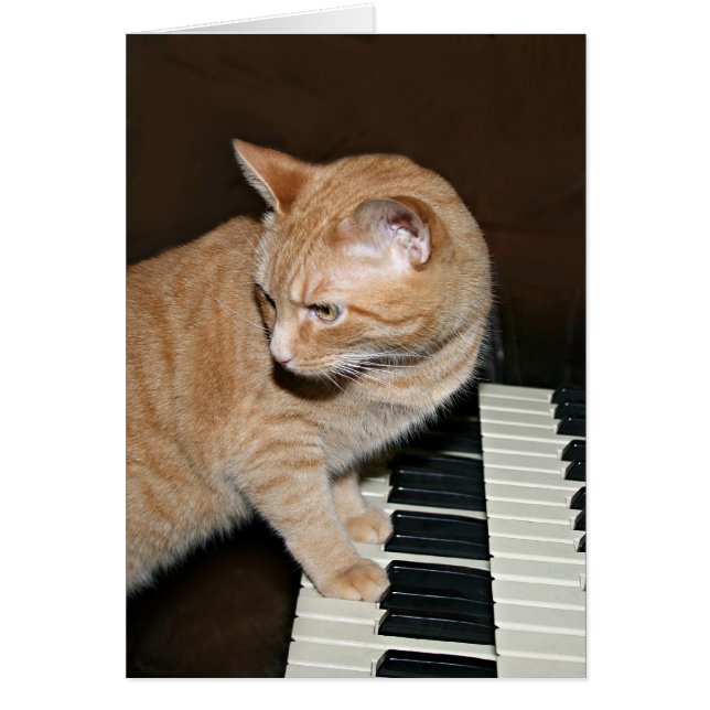 Matar al crítico (Frente)