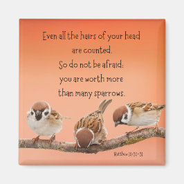 Mateo 10:30-31 imán de 2"