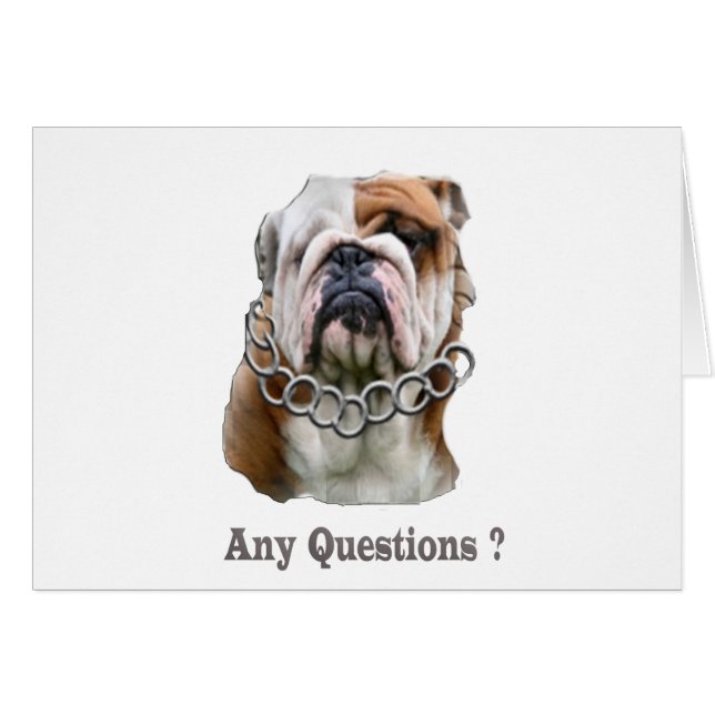 material de perro divertido (Anverso (Horizontal))