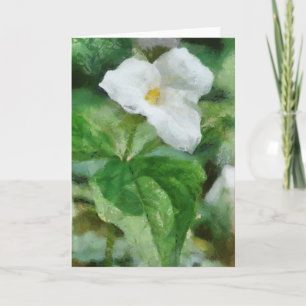 Material gráfico de la tarjeta de saludo de flores