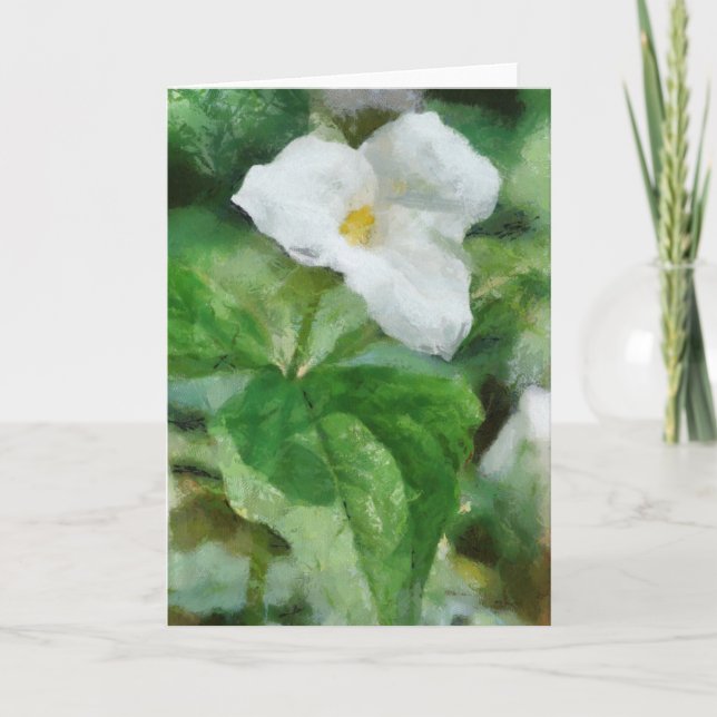 Material gráfico de la tarjeta de saludo de flores (Anverso)