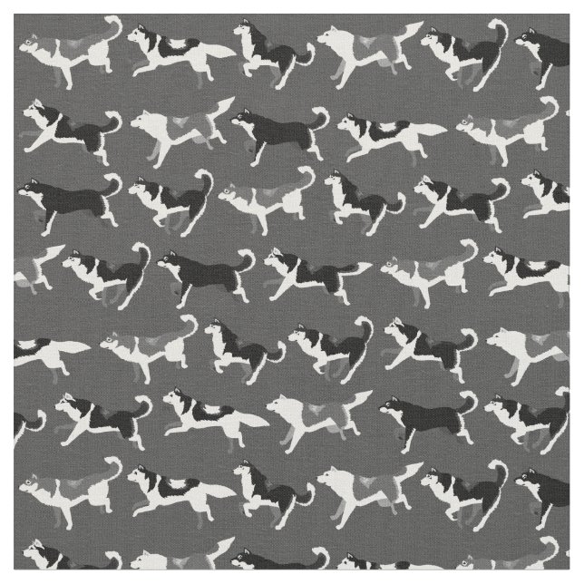 Materias textiles fornidas del perro de las telas (De cerca)