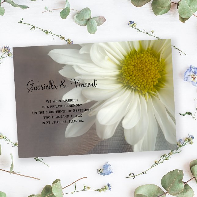 Matrimonio blanco suave / Invitación de Elopement (Subido por el creador)