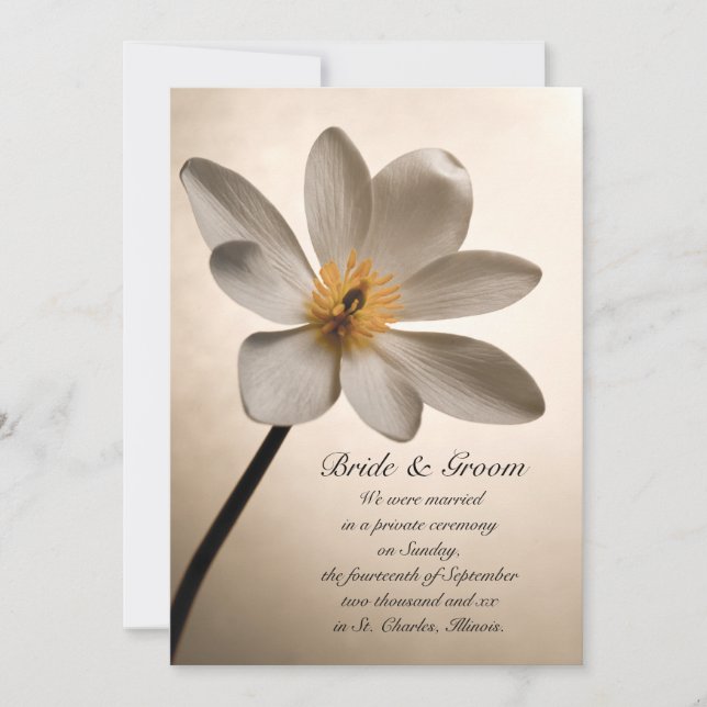 Matrimonio de Flor Silvestre Blanca / Invitación d (Anverso)
