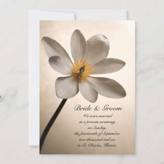 Matrimonio de Flor Silvestre Blanca / Invitación d